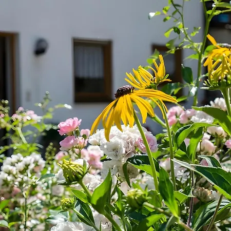 Ferienwohnung Vergissmeinnicht * Bad Peterstal-Griesbach
